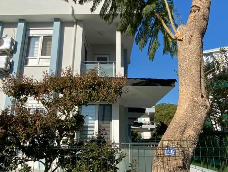 Villa Palm